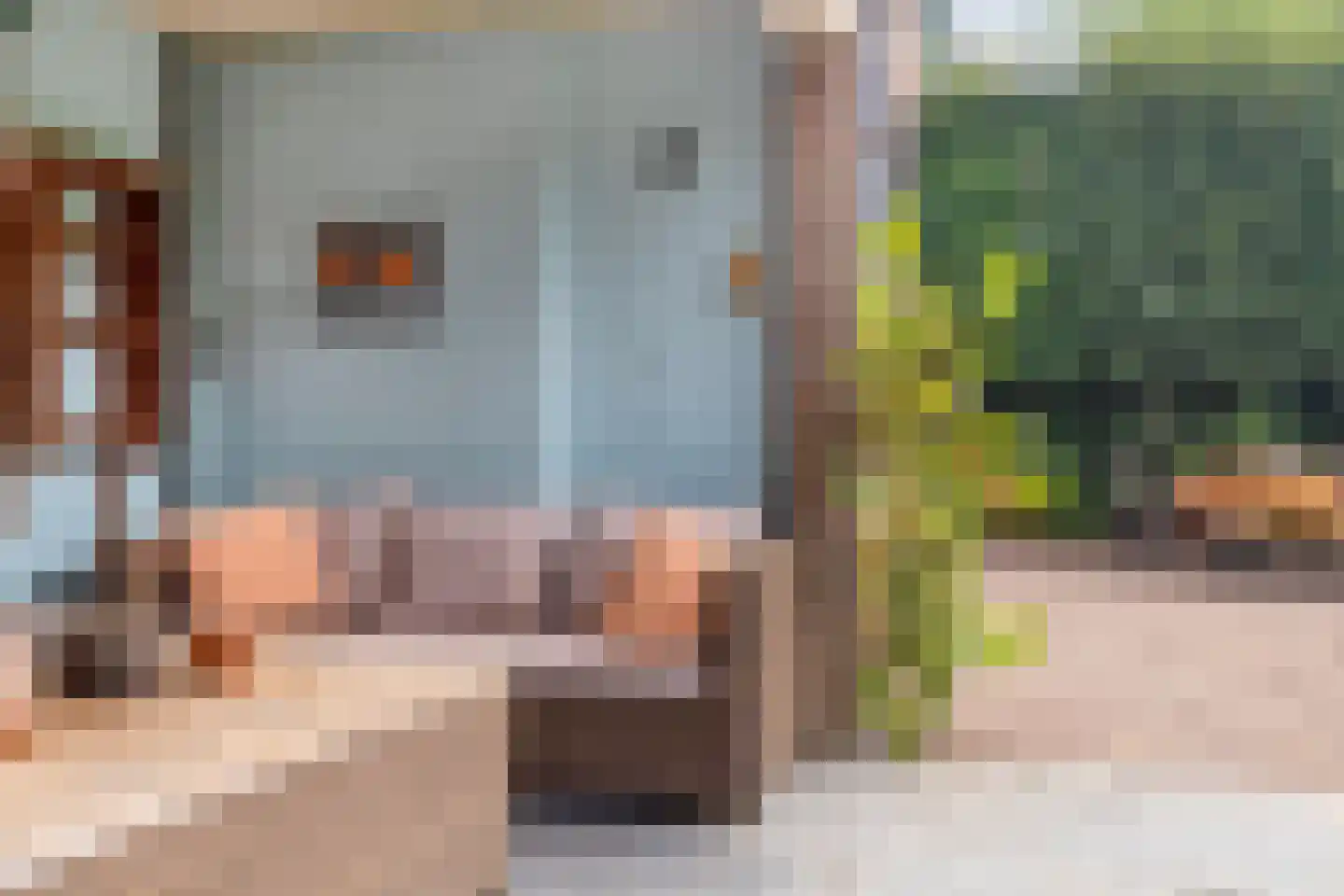 Flierstraat 81 E Lage Zwaluwe thumbnail 47