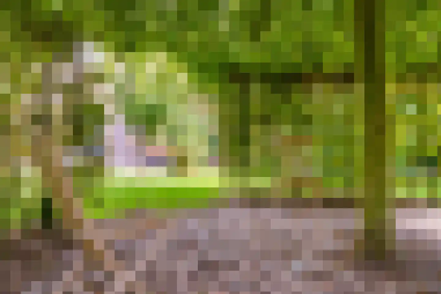 Flierstraat 81 E Lage Zwaluwe thumbnail 49