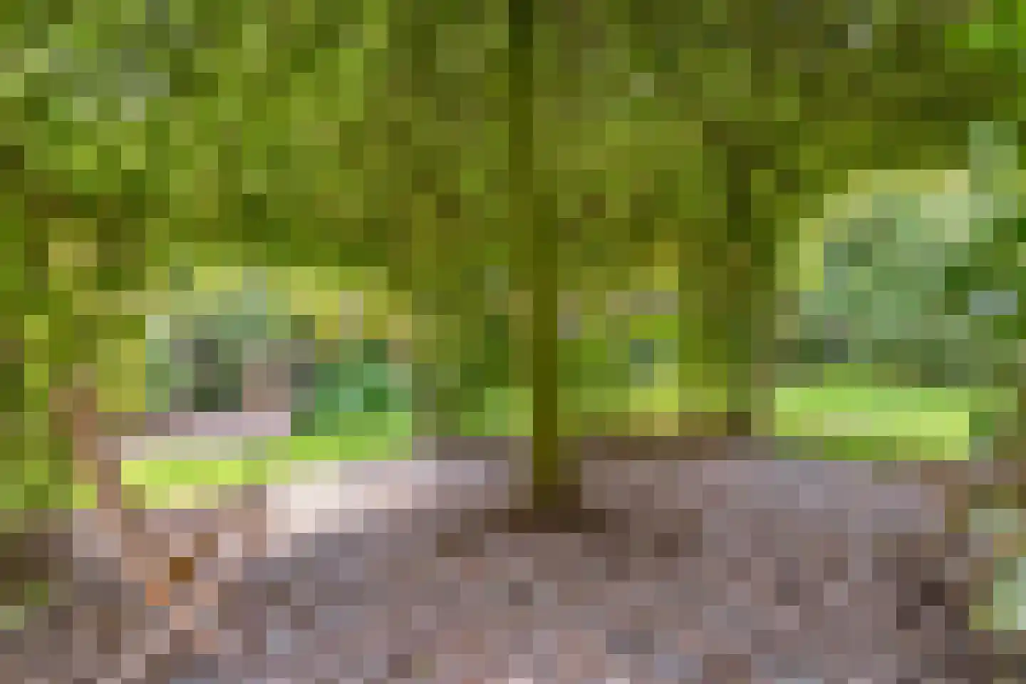 Flierstraat 81 E Lage Zwaluwe thumbnail 50