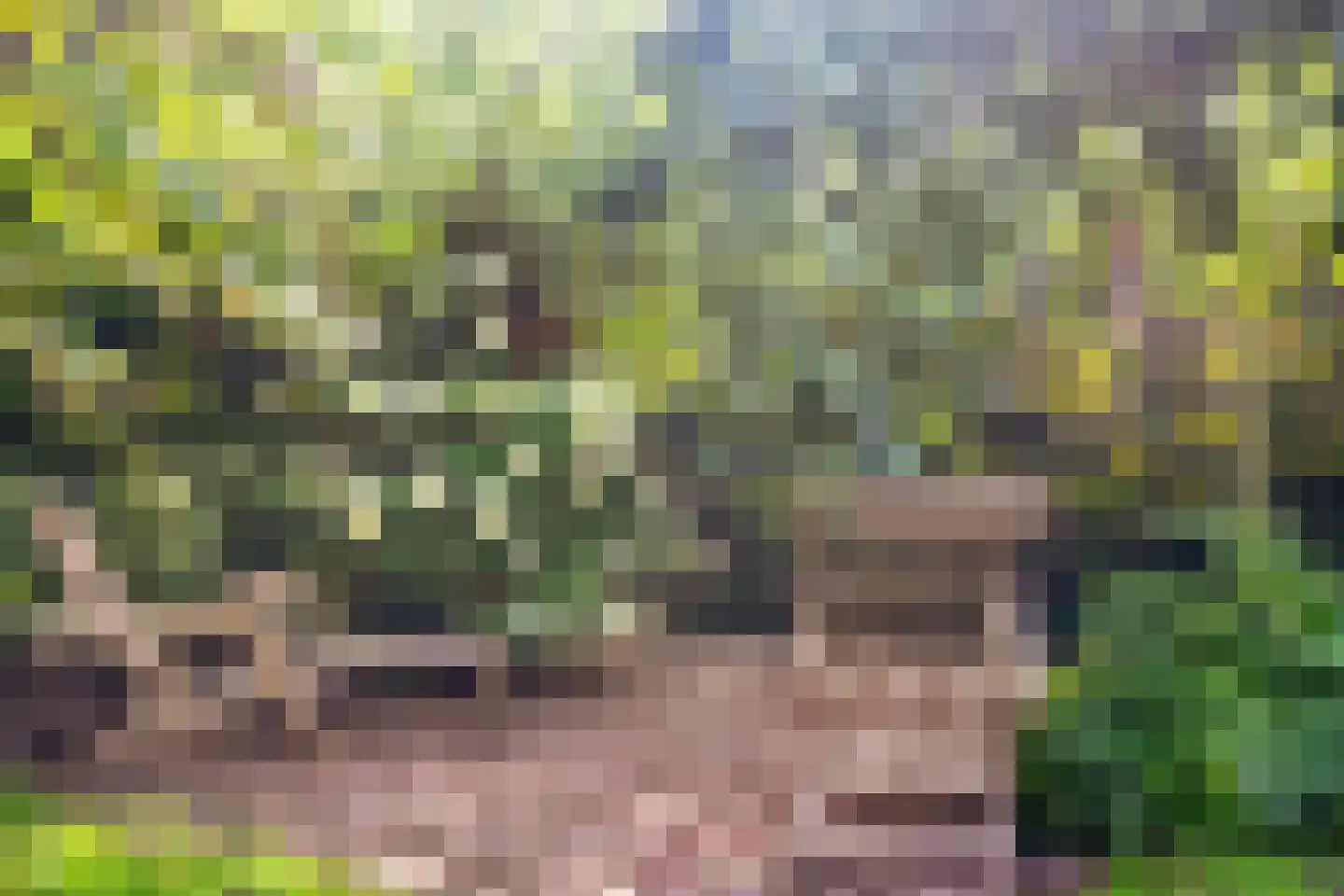 Flierstraat 81 E Lage Zwaluwe thumbnail 51