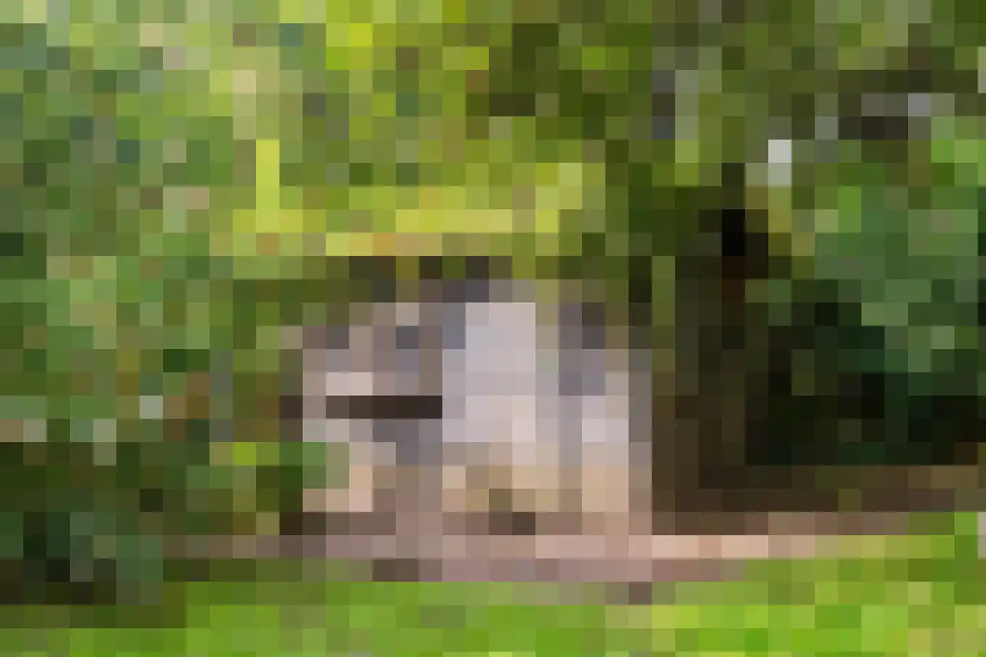 Flierstraat 81 E Lage Zwaluwe thumbnail 52