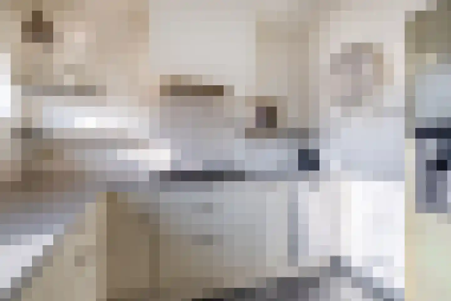 Flierstraat 83 Lage Zwaluwe thumbnail 13