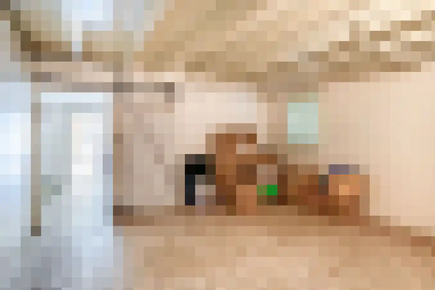 Flierstraat 83 Lage Zwaluwe thumbnail 26