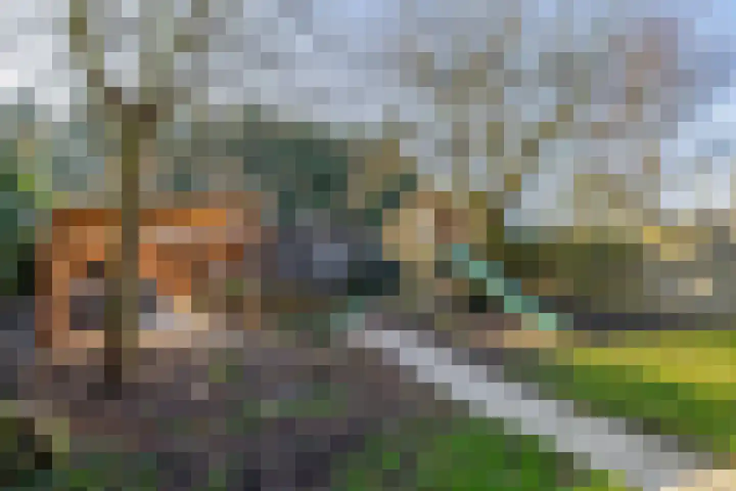 Flierstraat 83 Lage Zwaluwe thumbnail 35