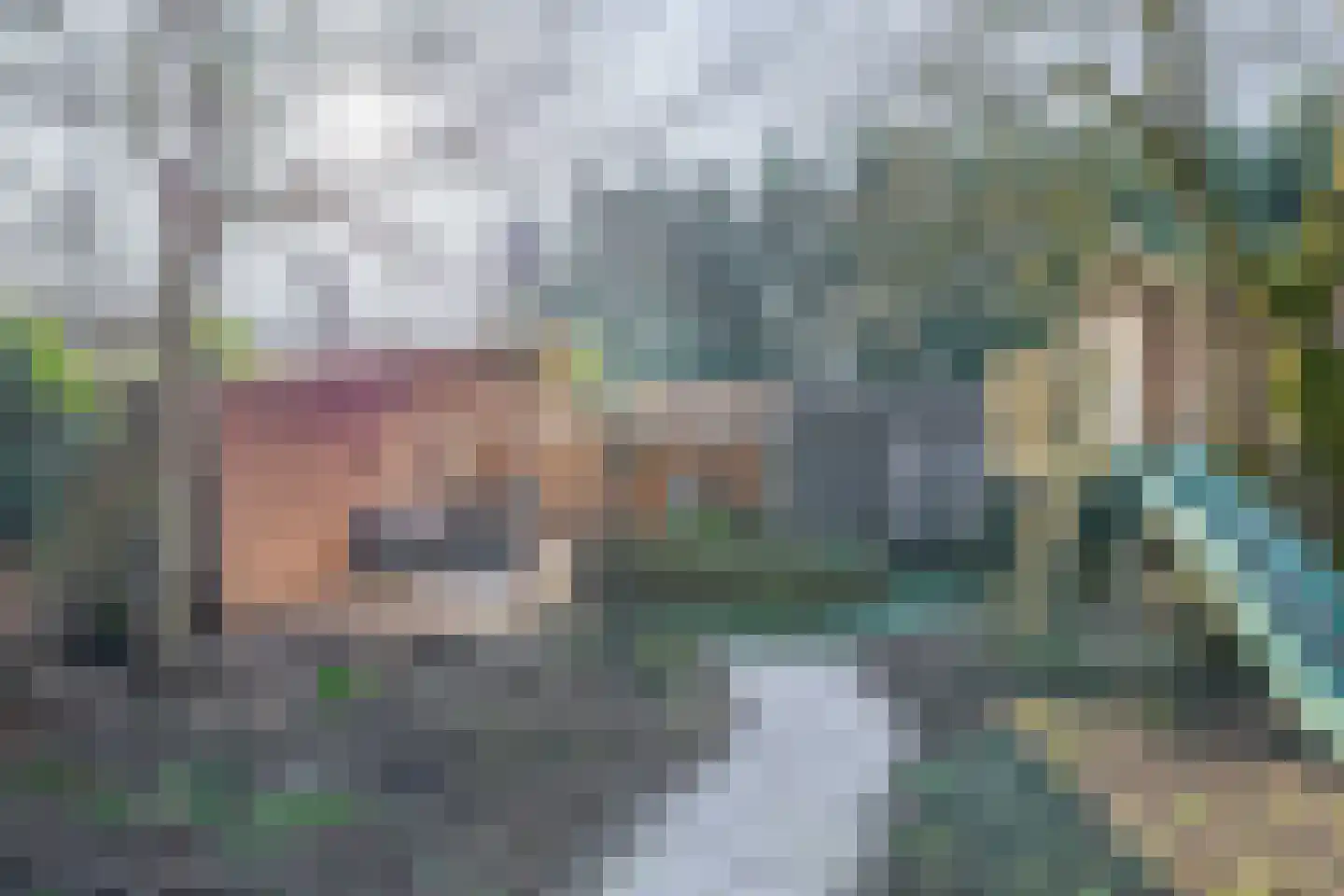 Flierstraat 83 Lage Zwaluwe thumbnail 35