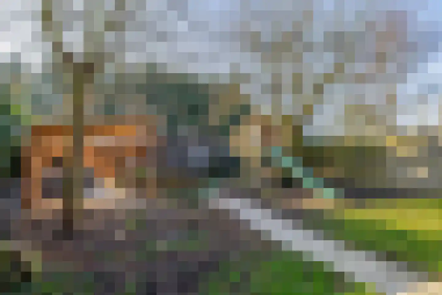 Flierstraat 83 Lage Zwaluwe thumbnail 36