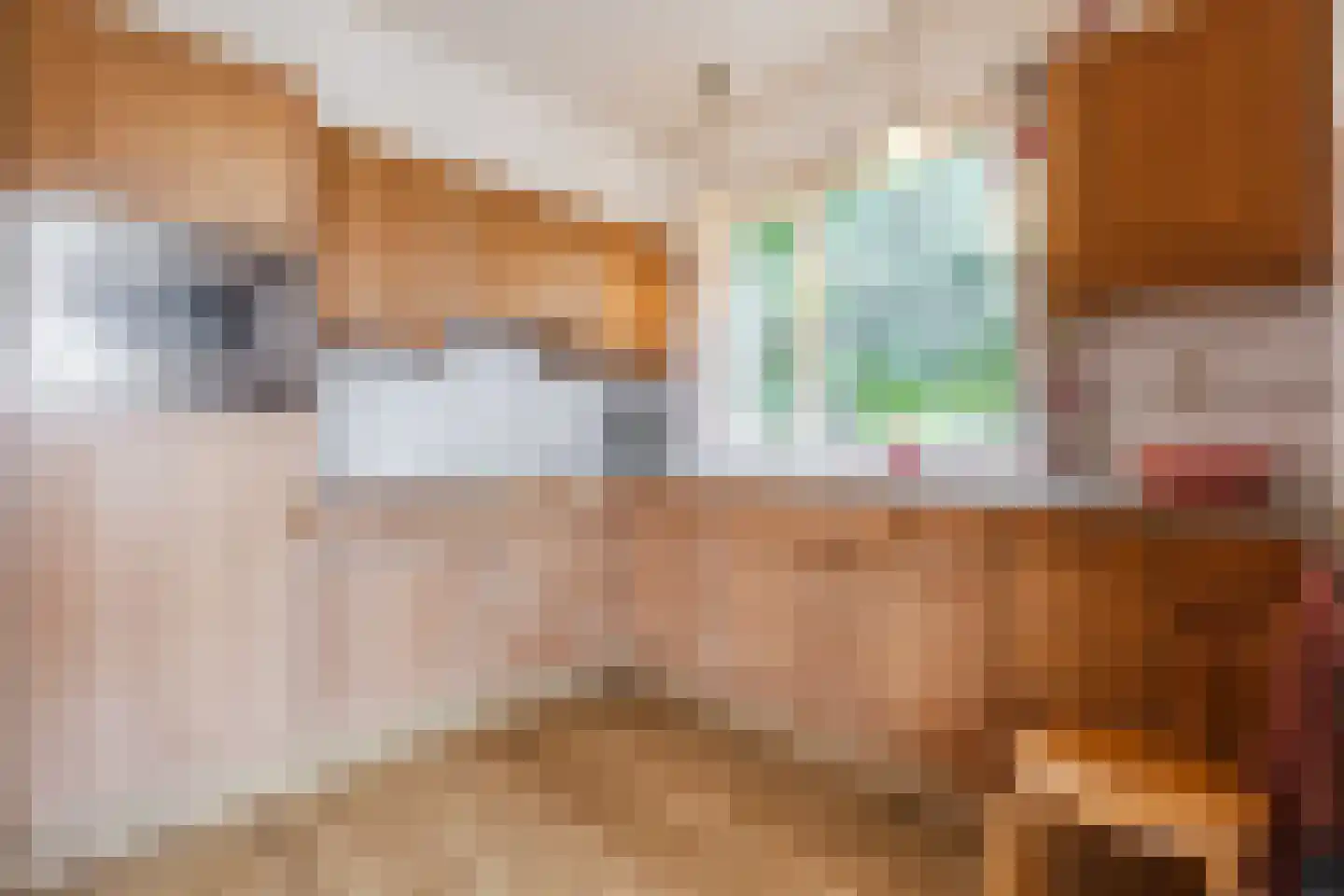 Flierstraat 98 Lage Zwaluwe thumbnail 11