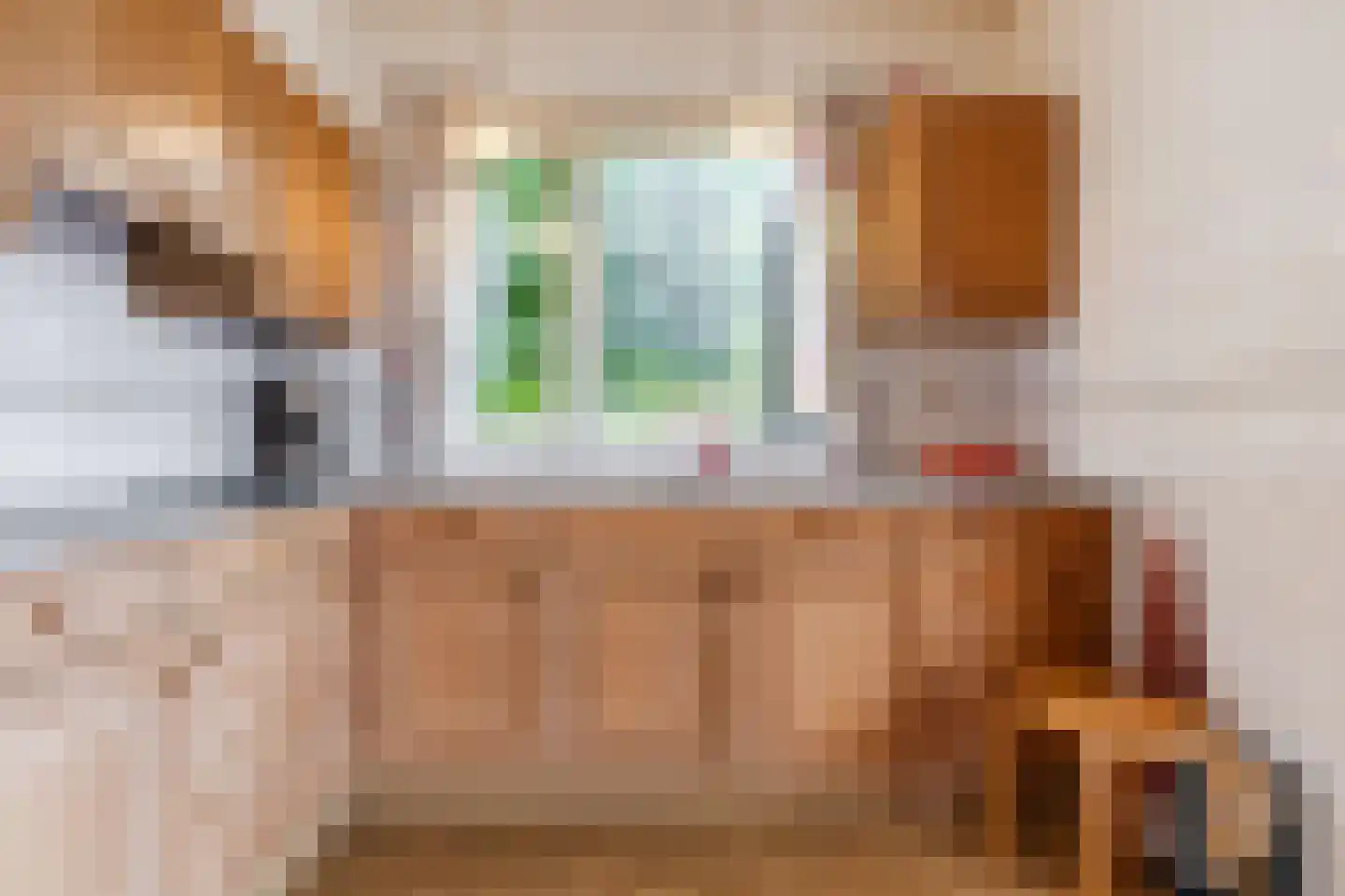 Flierstraat 98 Lage Zwaluwe thumbnail 12