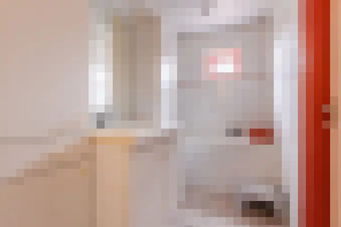 Flierstraat 98 Lage Zwaluwe thumbnail 17