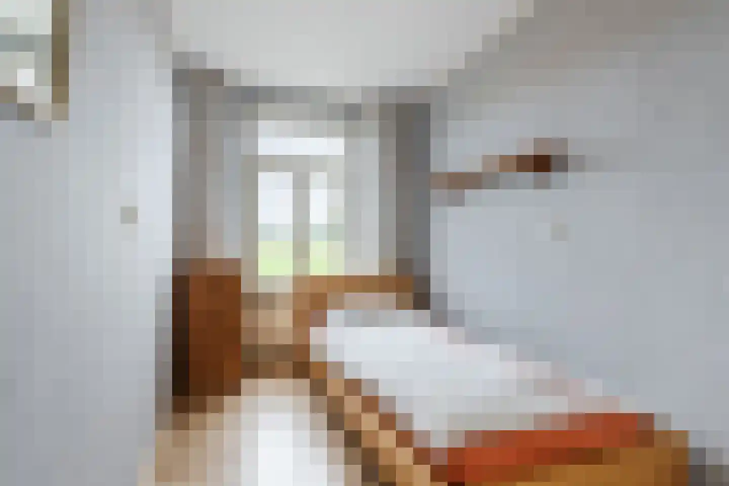 Flierstraat 98 Lage Zwaluwe thumbnail 22