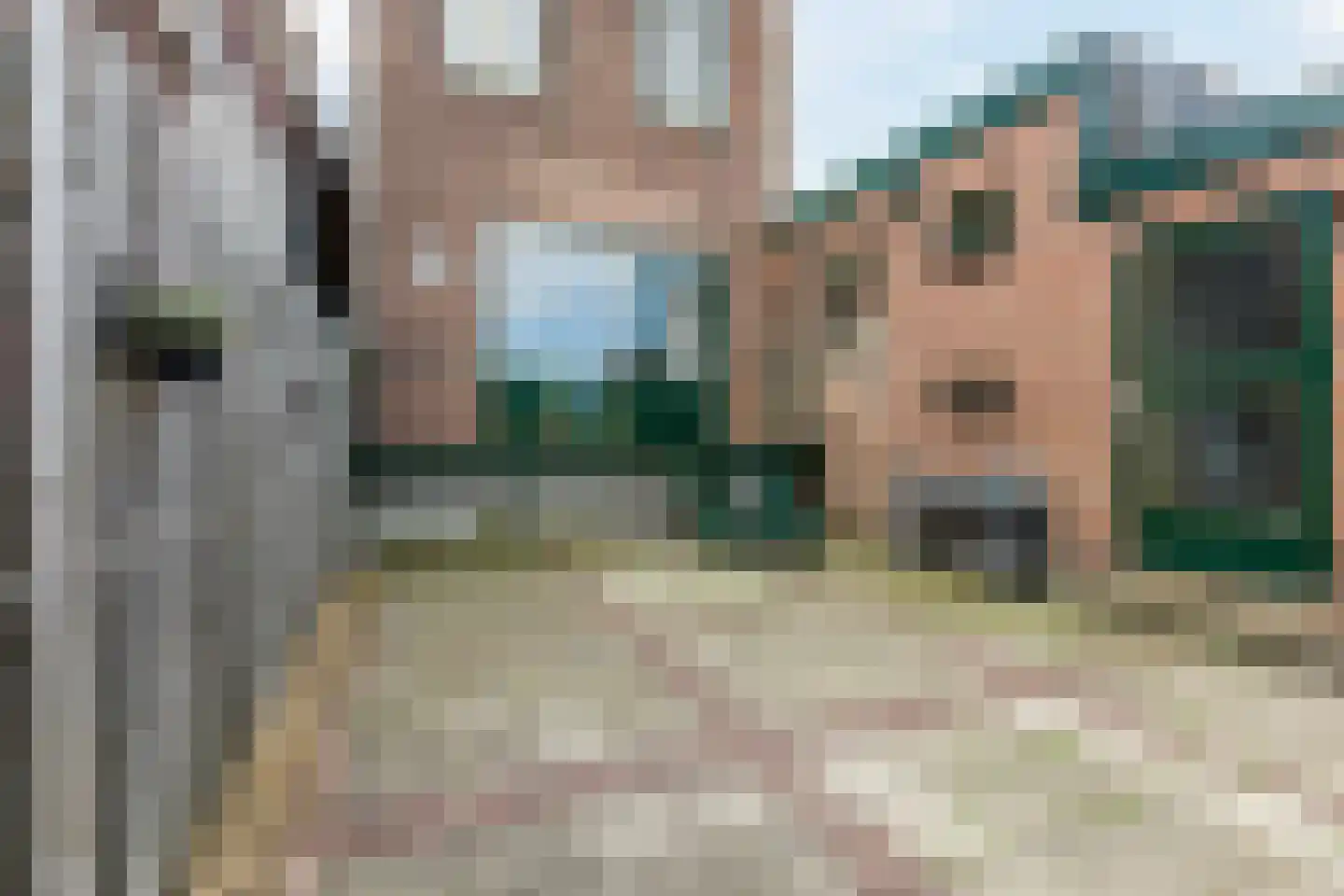 Flierstraat 98 Lage Zwaluwe thumbnail 25