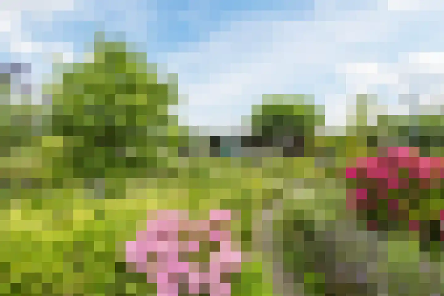 Flierstraat 98 Lage Zwaluwe thumbnail 27