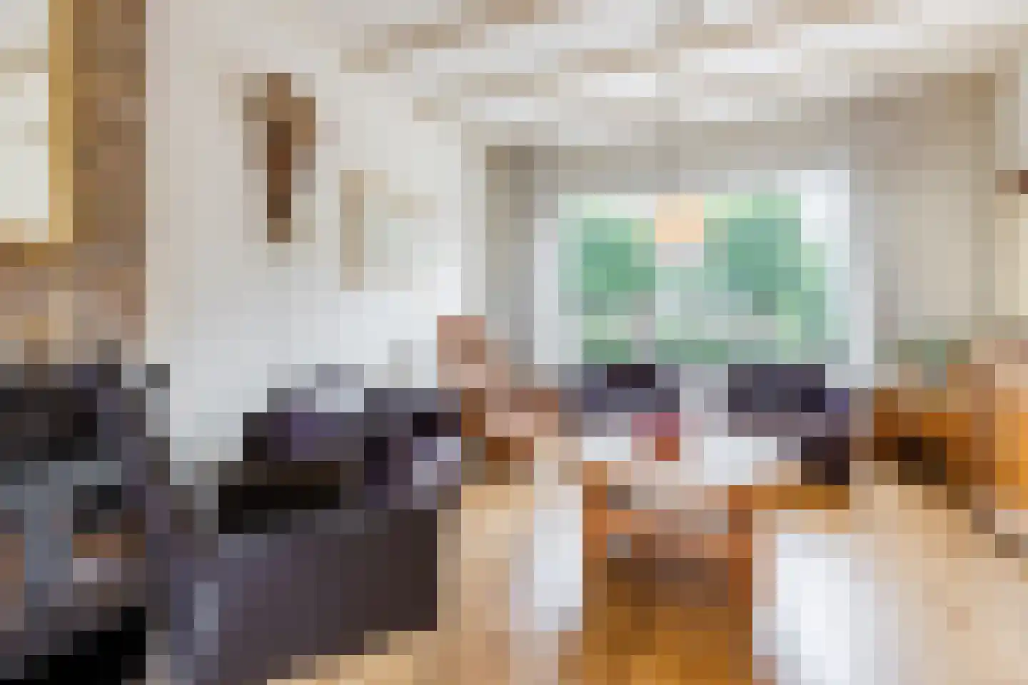 Flierstraat 98 Lage Zwaluwe thumbnail 5
