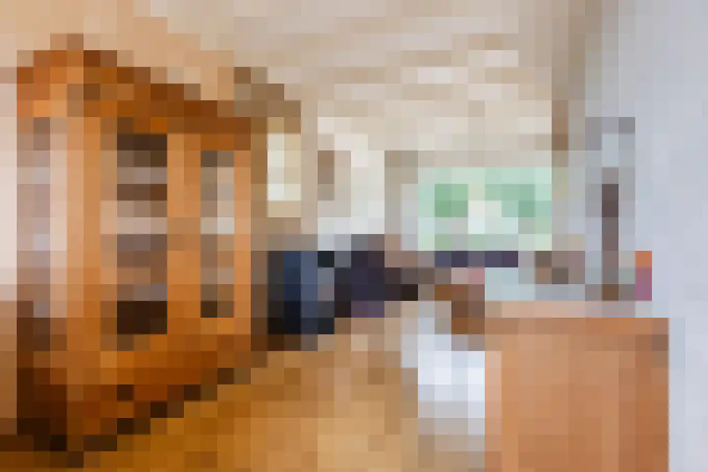 Flierstraat 98 Lage Zwaluwe thumbnail 9