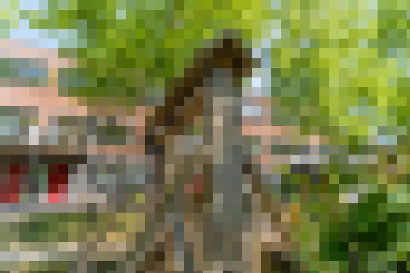 Flieruilensteeg 18 Utrecht thumbnail 21