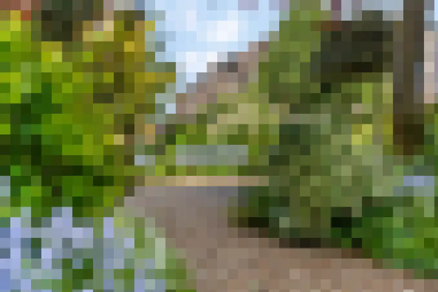 Flieruilensteeg 18 Utrecht thumbnail 24