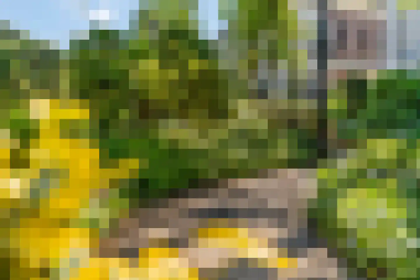 Flieruilensteeg 18 Utrecht thumbnail 25