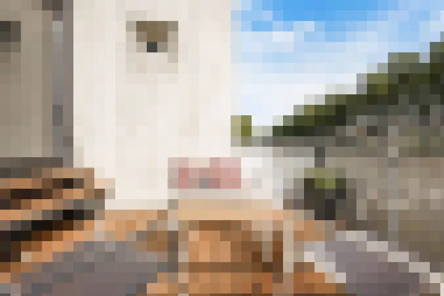 Flierveld 1 Nieuw-Vennep thumbnail 24