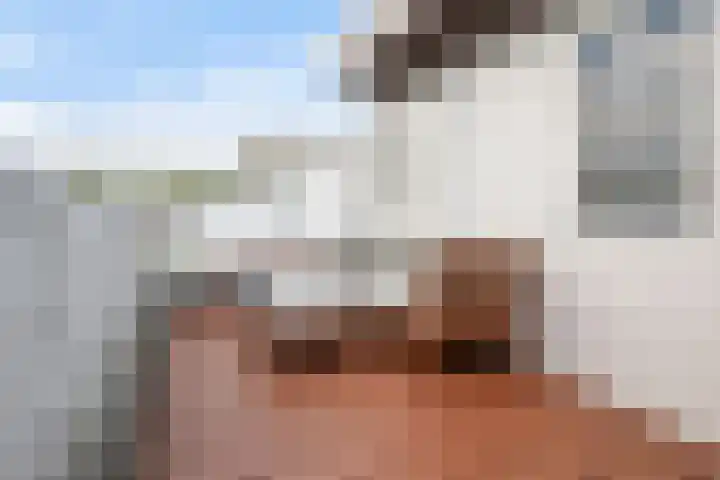 Flierveld 6 Nieuw-Vennep thumbnail 30