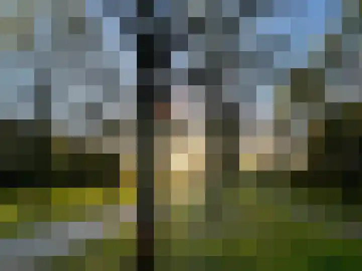 Flierveld 6 Nieuw-Vennep thumbnail 36
