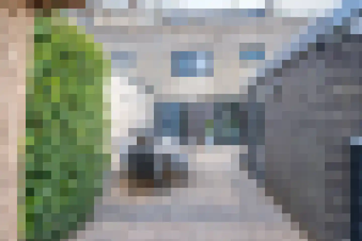 Flierveld 83 Nieuw-Vennep thumbnail 12