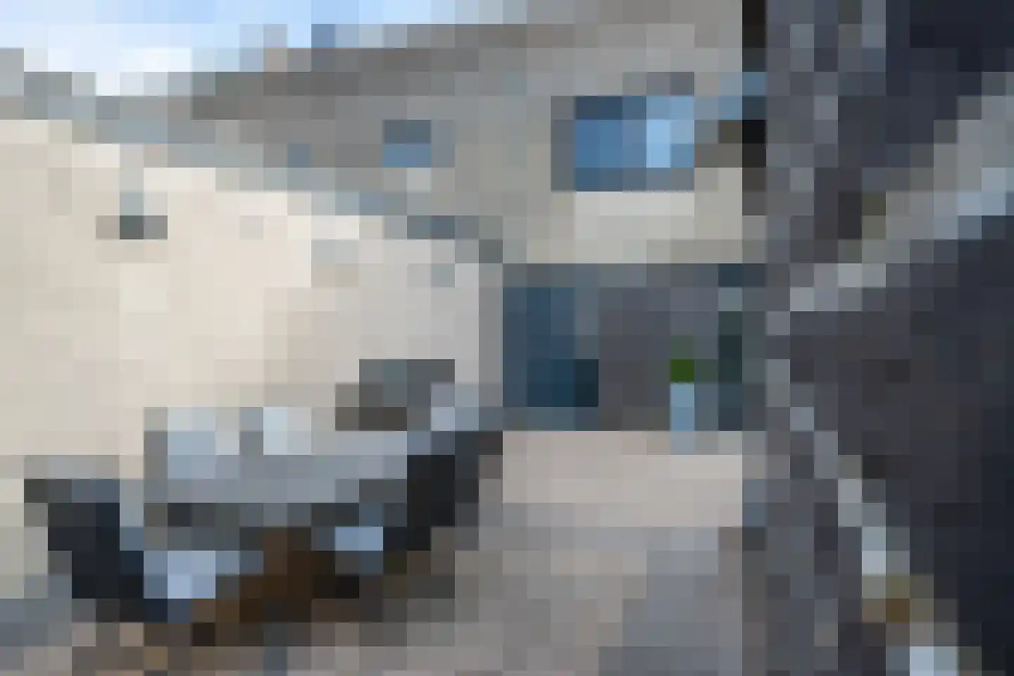 Flierveld 83 Nieuw-Vennep thumbnail 15