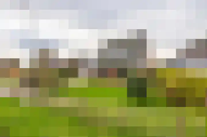 Flieterpsterdyk 15 Reitsum thumbnail 11