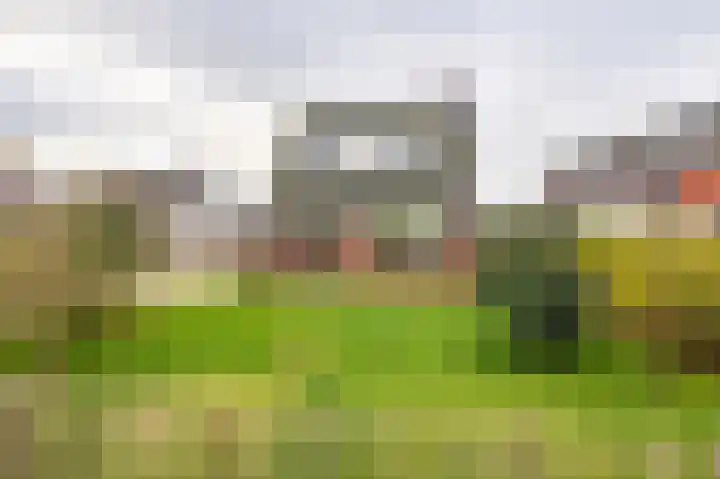 Flieterpsterdyk 15 Reitsum thumbnail 13