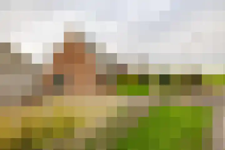 Flieterpsterdyk 15 Reitsum thumbnail 14