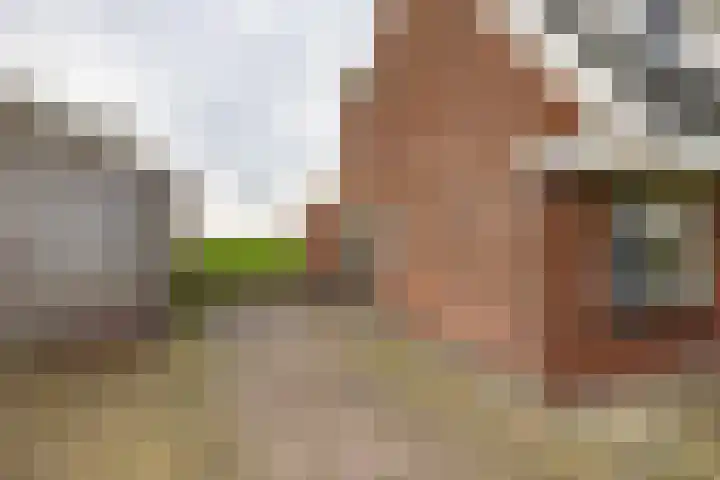 Flieterpsterdyk 15 Reitsum thumbnail 15
