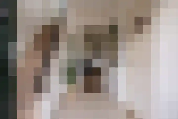 Flieterpsterdyk 15 Reitsum thumbnail 16