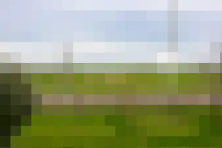 Flieterpsterdyk 15 Reitsum thumbnail 20