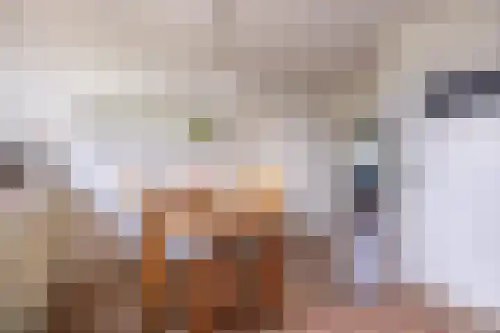 Flieterpsterdyk 15 Reitsum thumbnail 27