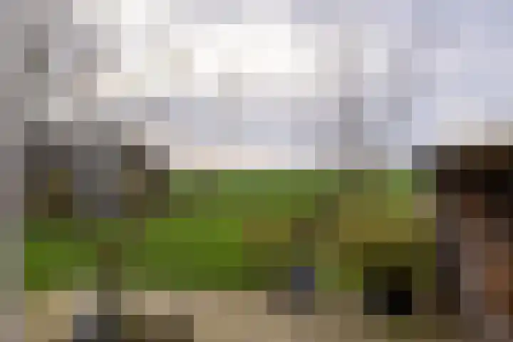 Flieterpsterdyk 15 Reitsum thumbnail 29