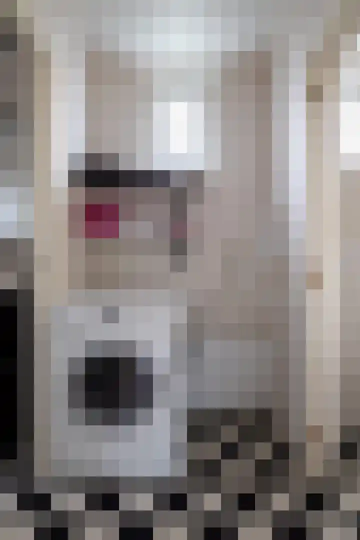 Flieterpsterdyk 15 Reitsum thumbnail 32