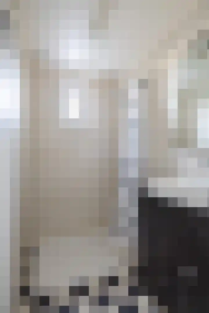 Flieterpsterdyk 15 Reitsum thumbnail 33
