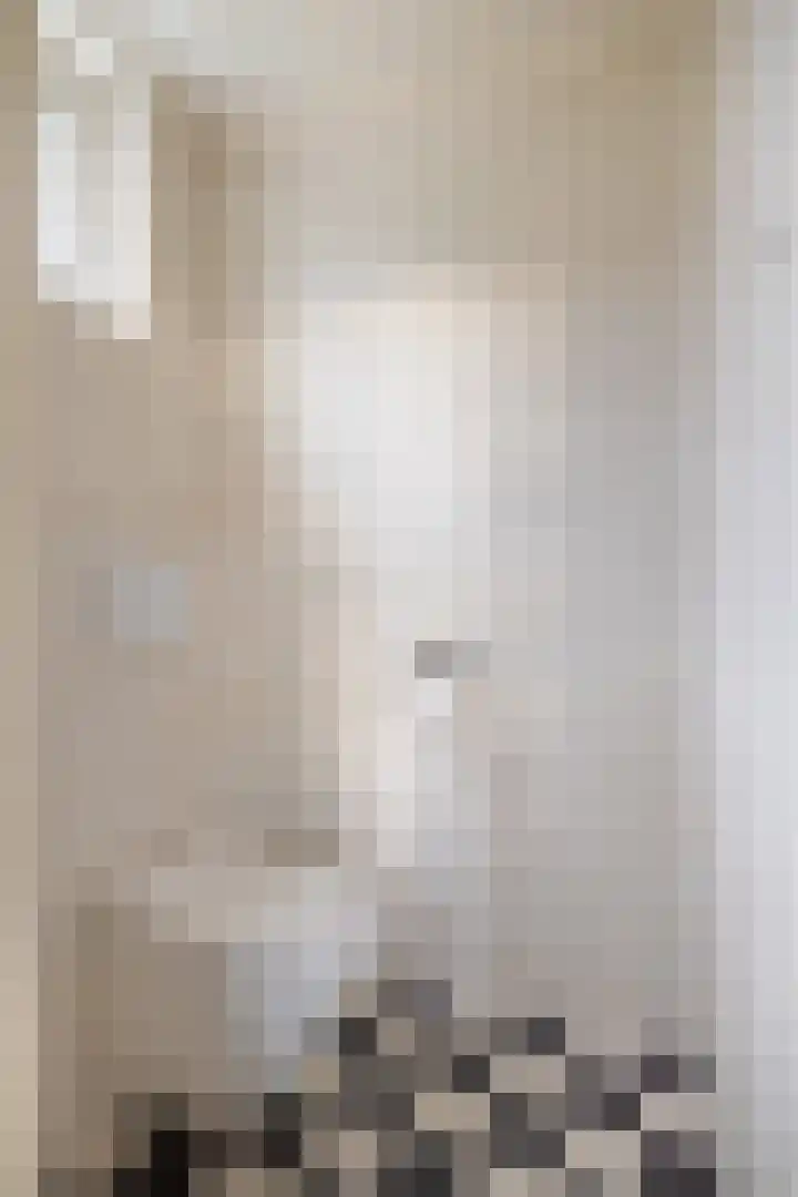 Flieterpsterdyk 15 Reitsum thumbnail 35