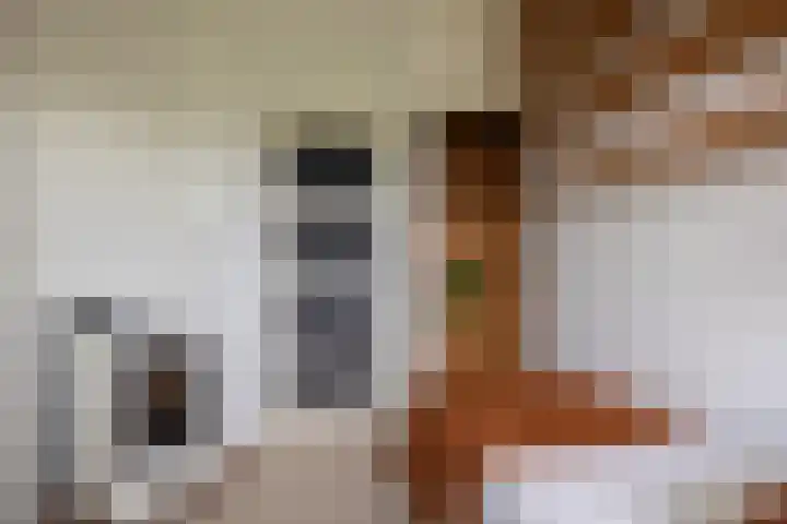 Flieterpsterdyk 15 Reitsum thumbnail 37