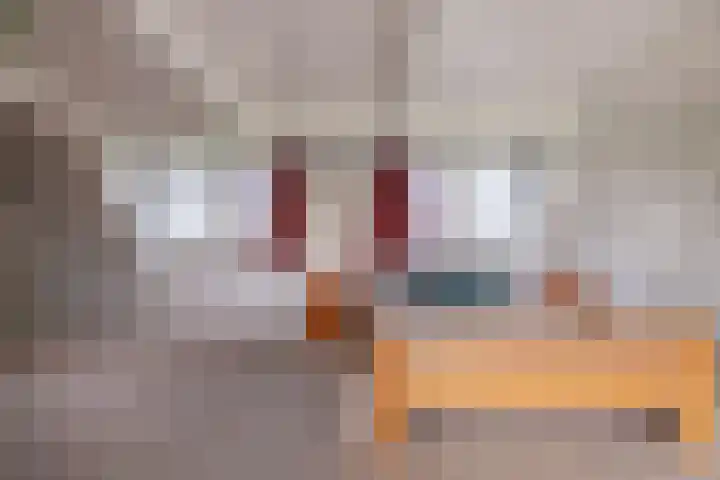 Flieterpsterdyk 15 Reitsum thumbnail 38