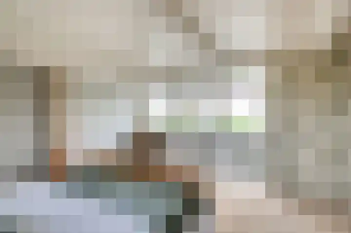 Flieterpsterdyk 15 Reitsum thumbnail 43