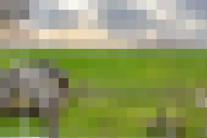 Flieterpsterdyk 15 Reitsum thumbnail 44