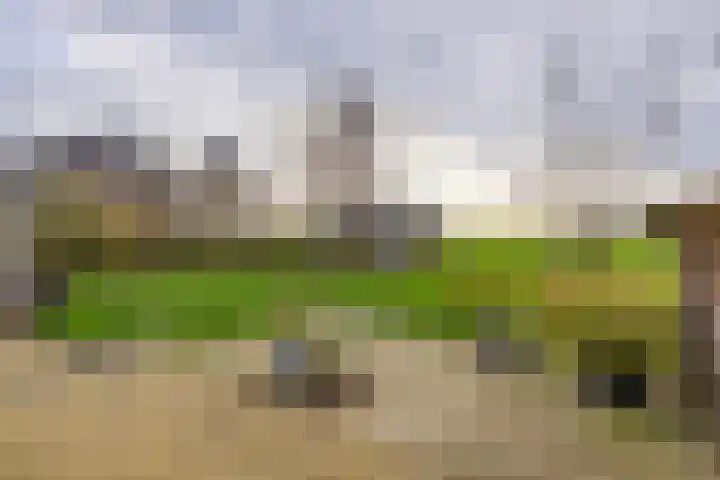 Flieterpsterdyk 15 Reitsum thumbnail 46