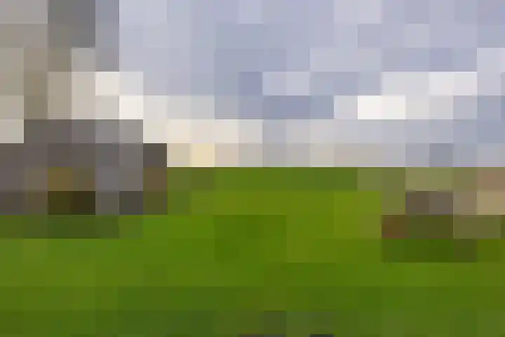 Flieterpsterdyk 15 Reitsum thumbnail 47