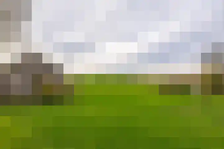 Flieterpsterdyk 15 Reitsum thumbnail 48