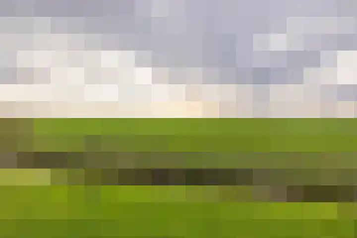 Flieterpsterdyk 15 Reitsum thumbnail 49