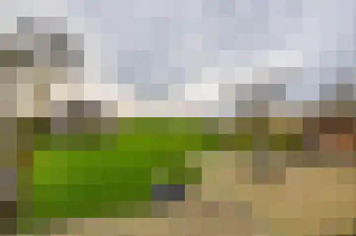 Flieterpsterdyk 15 Reitsum thumbnail 5