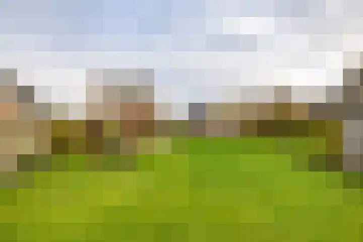 Flieterpsterdyk 15 Reitsum thumbnail 50