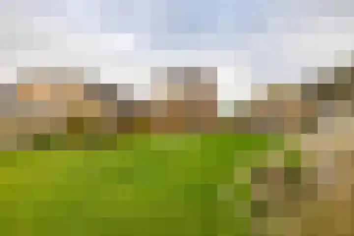 Flieterpsterdyk 15 Reitsum thumbnail 51