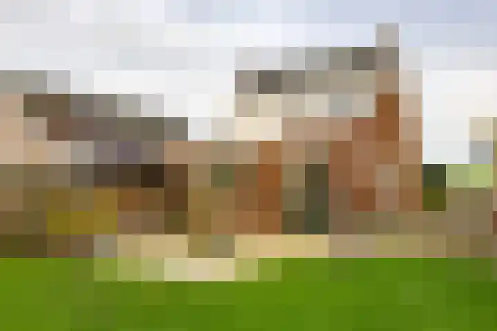 Flieterpsterdyk 15 Reitsum thumbnail 52