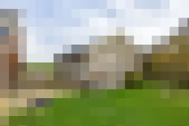 Flieterpsterdyk 15 Reitsum thumbnail 53